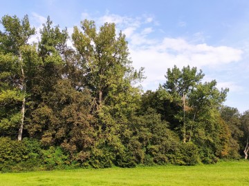 Odnowienie infrastruktury w otoczeniu źródła Niechmirów, 